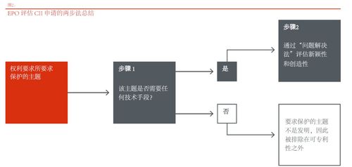 計算機(jī)軟件開發(fā)相關(guān)發(fā)明的全球?qū)彶閷嵺`比較